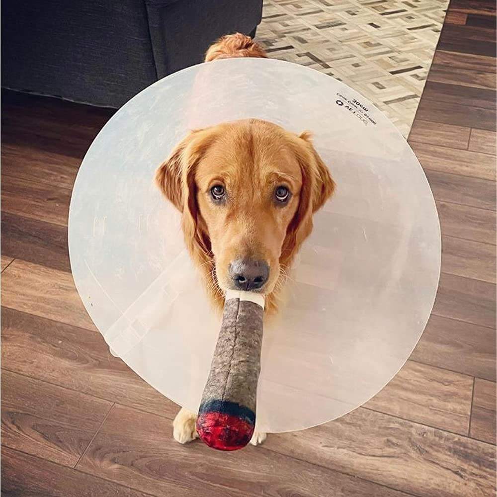 Pet Toy