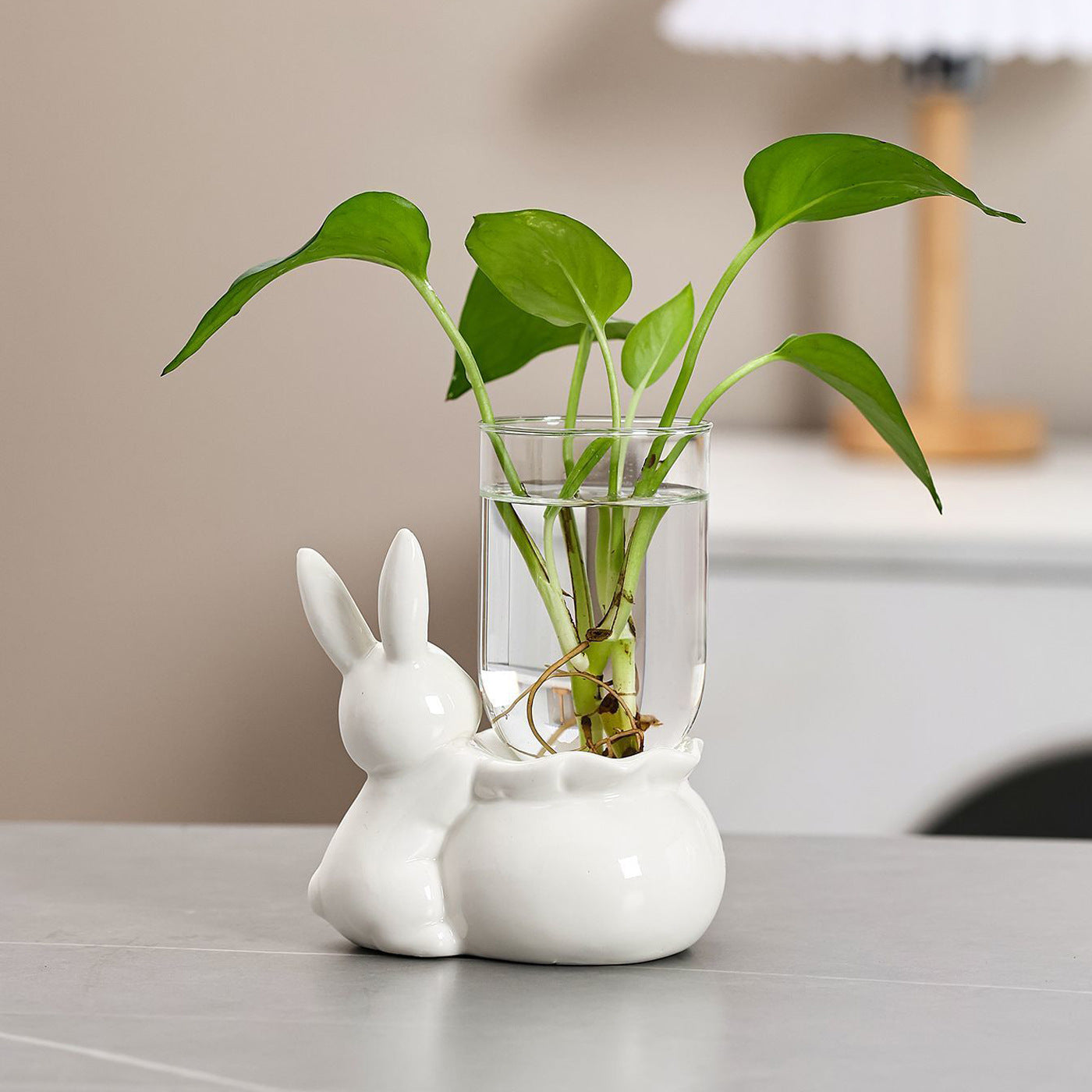 Bunny Plant Holder