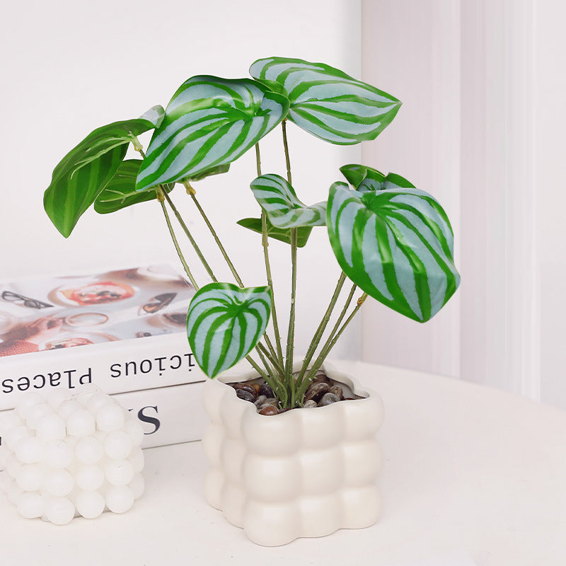 Bubble Cube Planter