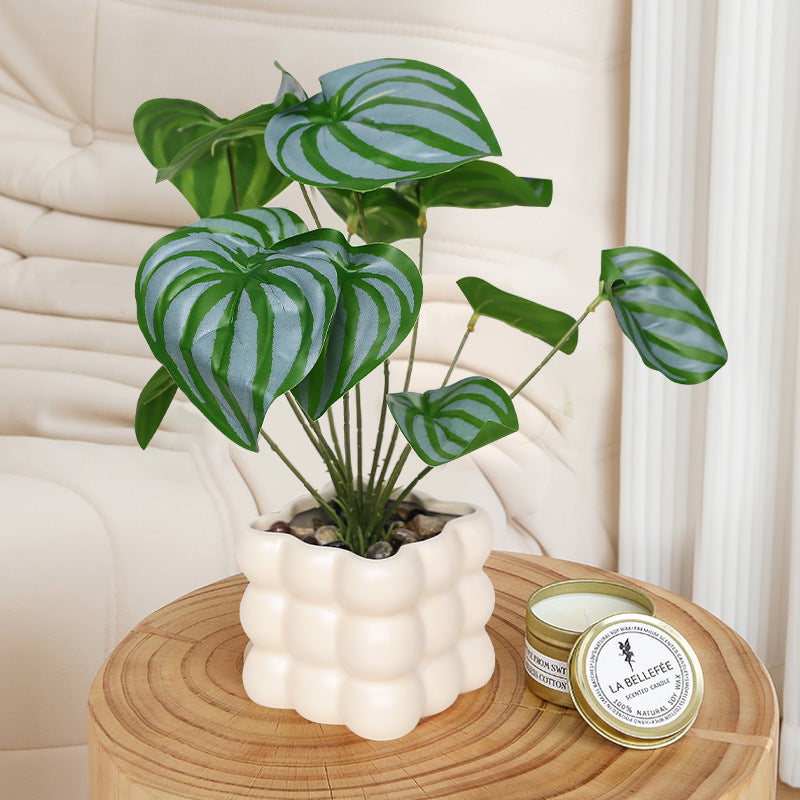 Bubble Cube Planter