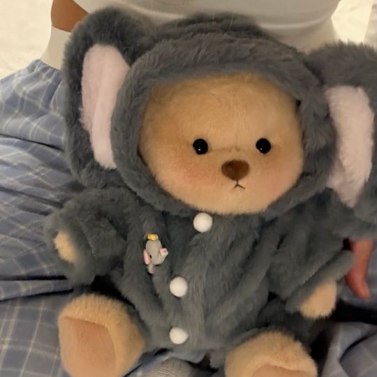 Plush Teddy Bear Outfit