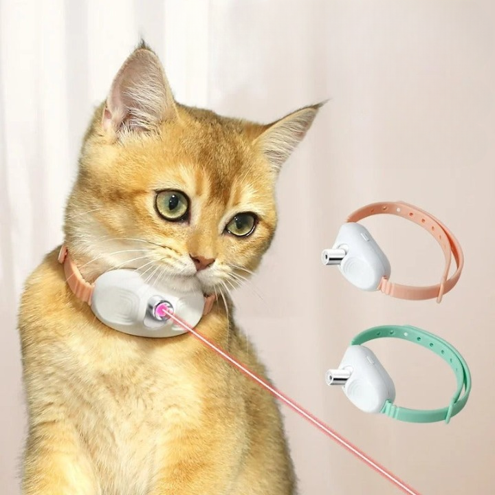 Cat Laser Pointer Belt