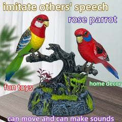 Creative Talking Parrots