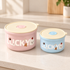 Lucky Steel Food Container