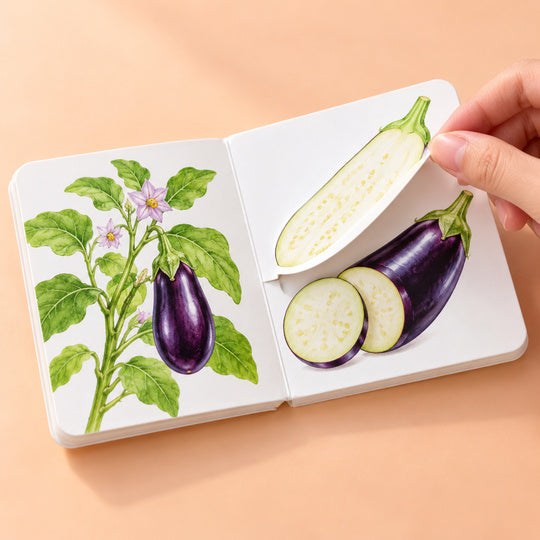 3D Fruit & Vegetable Activity Book – 04-eggplant-flap