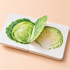 3D Fruit & Vegetable Activity Book – 06-cabbage-reveal