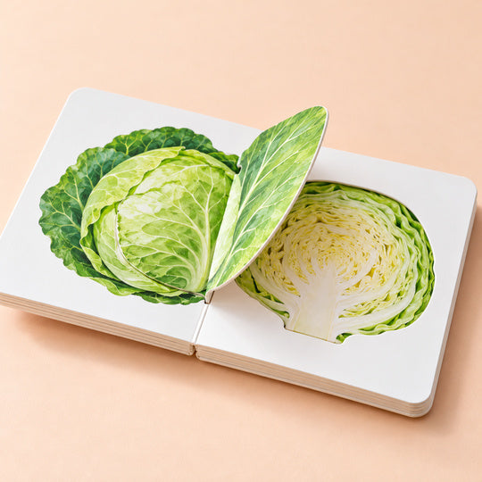 3D Fruit & Vegetable Activity Book – 06-cabbage-reveal