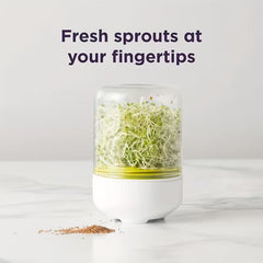 Portable Sprouts Maker