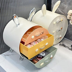 Desktop Storage Rack