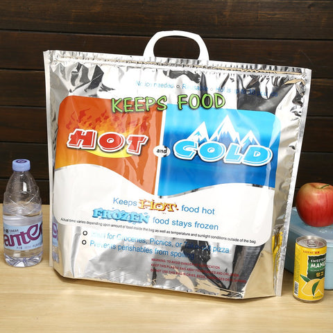 Hot and Cold Insulated Bag