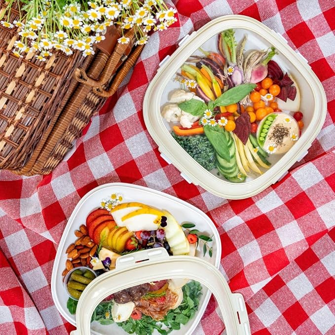 Portable Snack Tray