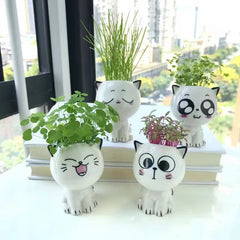 Ceramic Cat Cartoon Planters