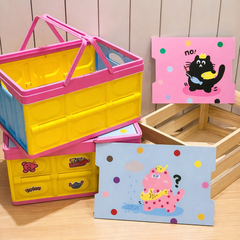 Colorful Storage Box