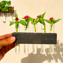 Wall Plant Vase