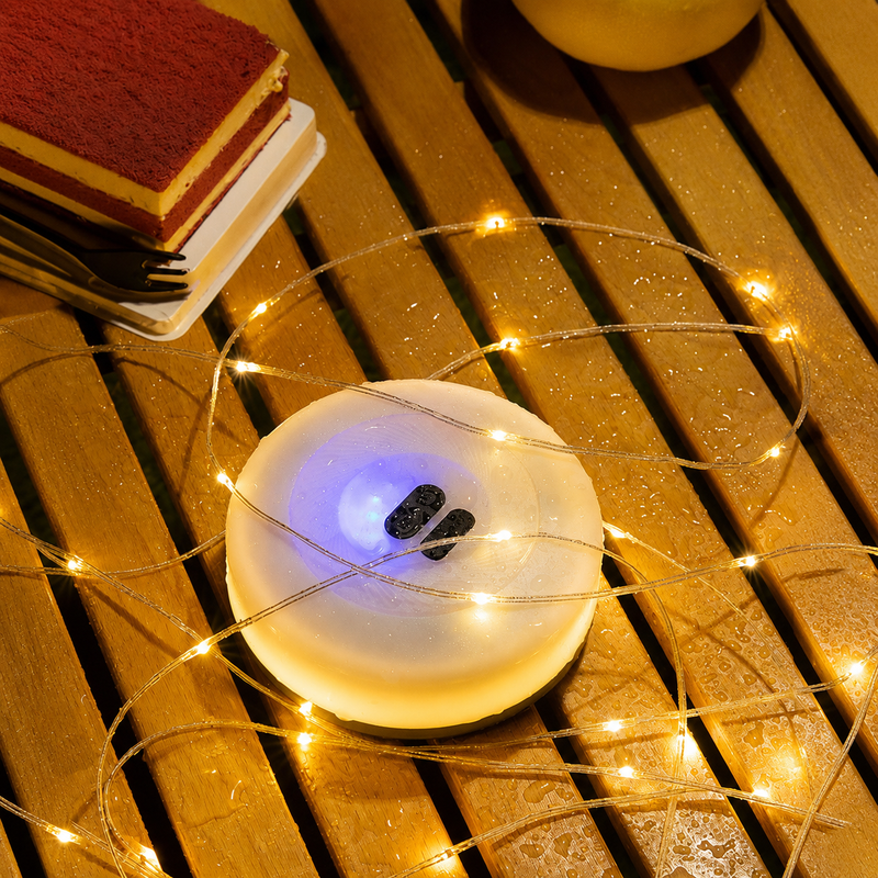 Portable LED String Light