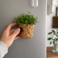 Plant Fridge Magnet