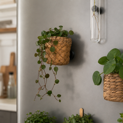 Plant Fridge Magnet