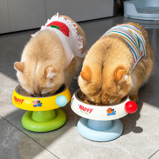 Happy Pet Feast Bowl