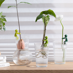 Plant Buddy