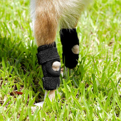 Pet Knee Protector
