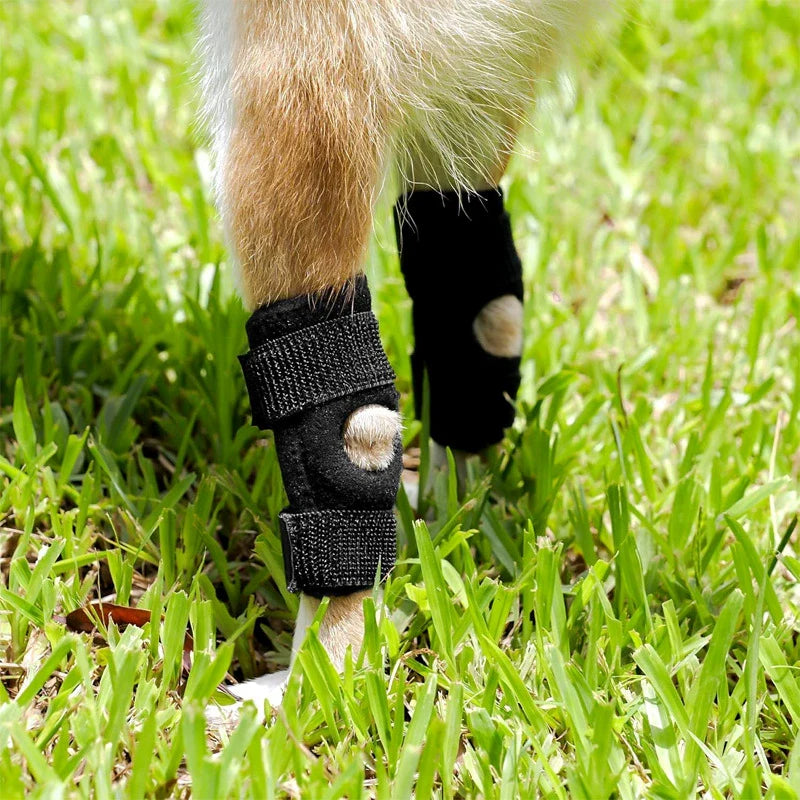 Pet Knee Protector