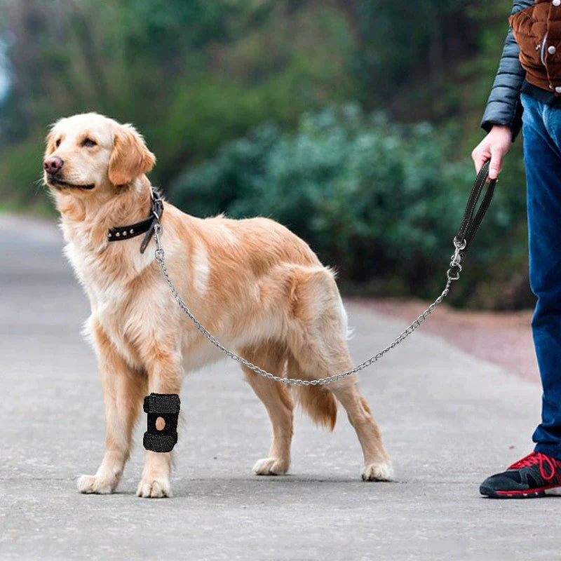 Pet Knee Protector