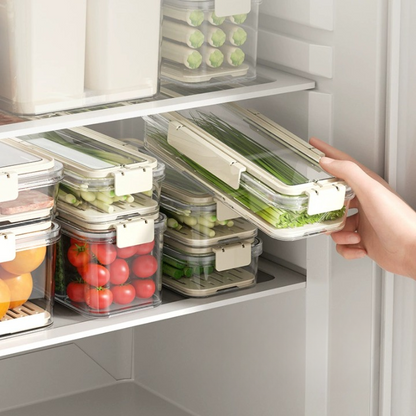 Vegetable Storage Container