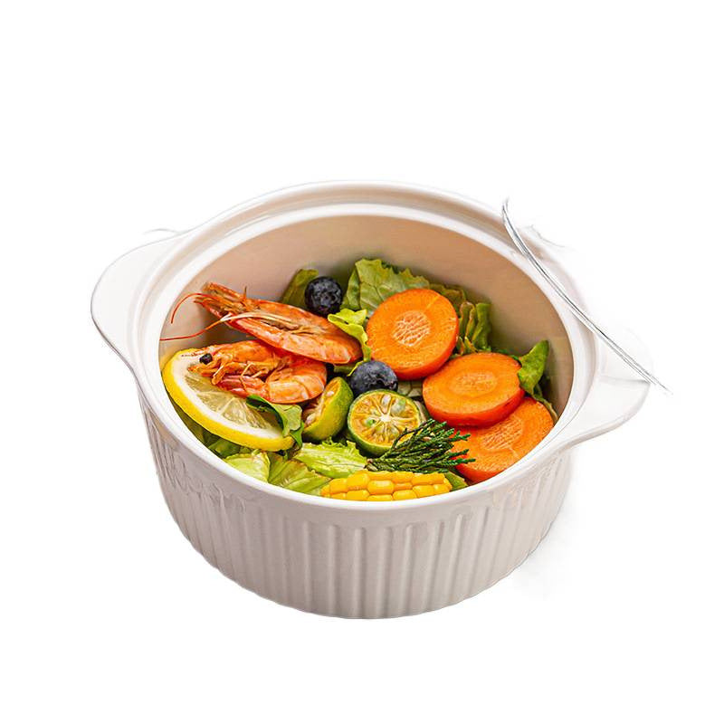 Double Handled Glass Ceramic Bowl – Modern elegant look
