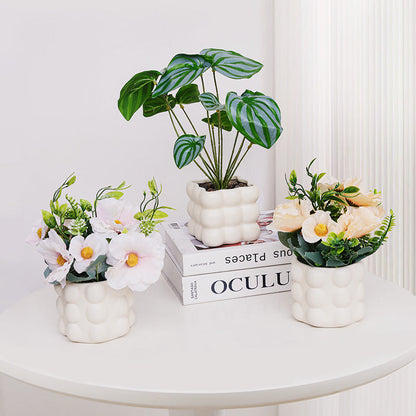 Bubble Cube Planter