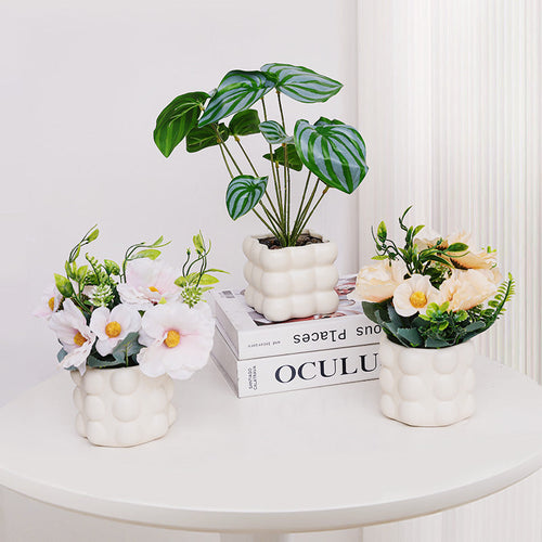 Bubble Cube Planter