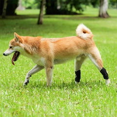 Pet Knee Protector