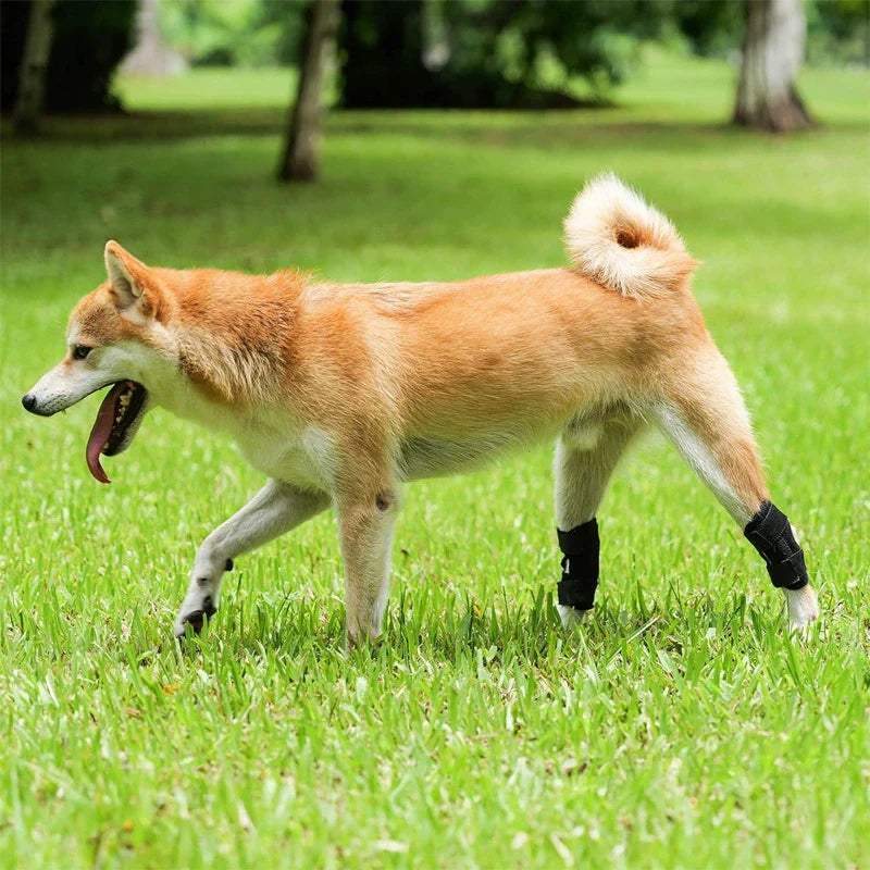 Pet Knee Protector