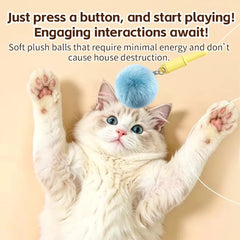 Interactive Teaser Plush Ball Toy