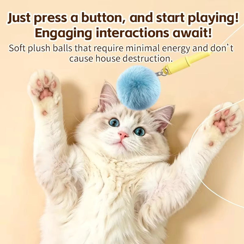 Interactive Teaser Plush Ball Toy