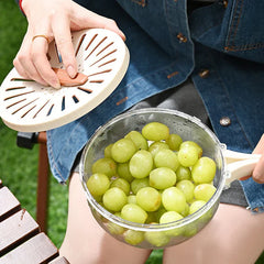 Multifunctional Drainage Bowl