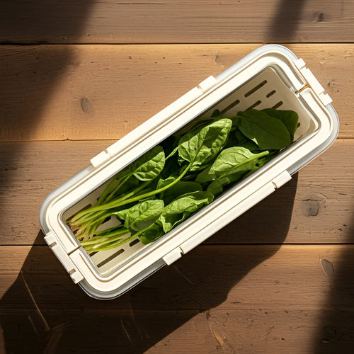 Vegetable Storage Container