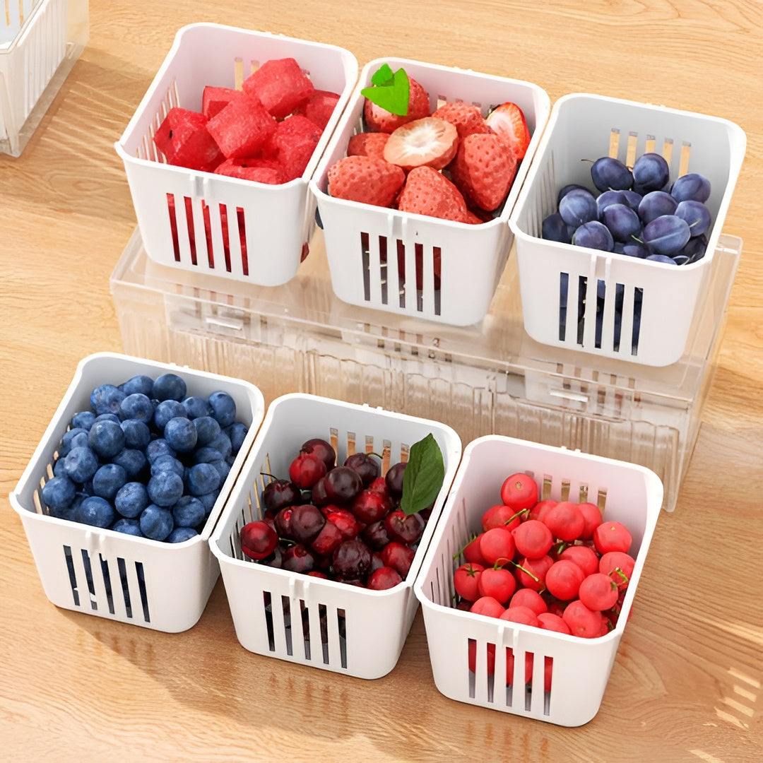 Drainable Airtight Storage Box – Airtight Transparent Lid