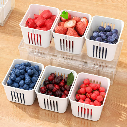 Drainable Airtight Storage Box