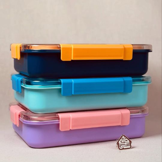 Section Lunch Box – Easy to Clean & Maintain