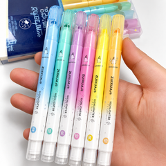 Erasable Highlighter Pen
