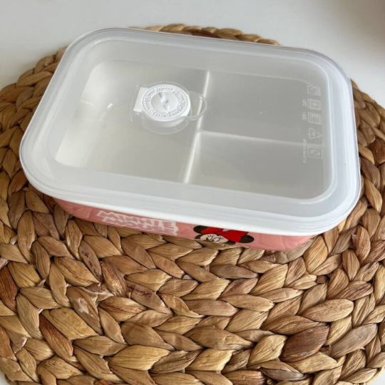 Disney Airlock Lunch Box