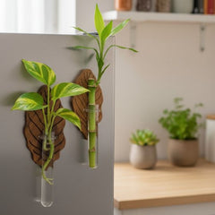 Magnetic Flower Pots
