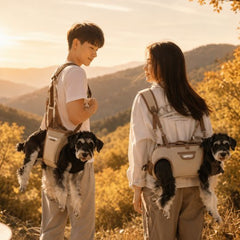 Multi Way Pet Carrier