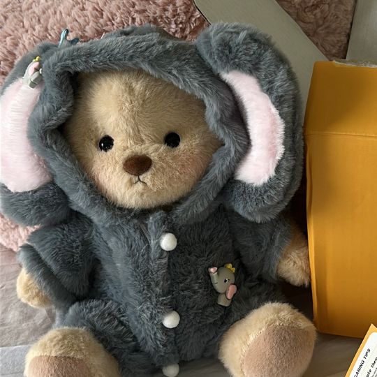 Plush Teddy Bear Outfit