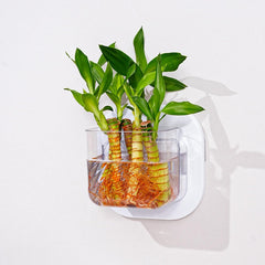 Minimal Wall Planter