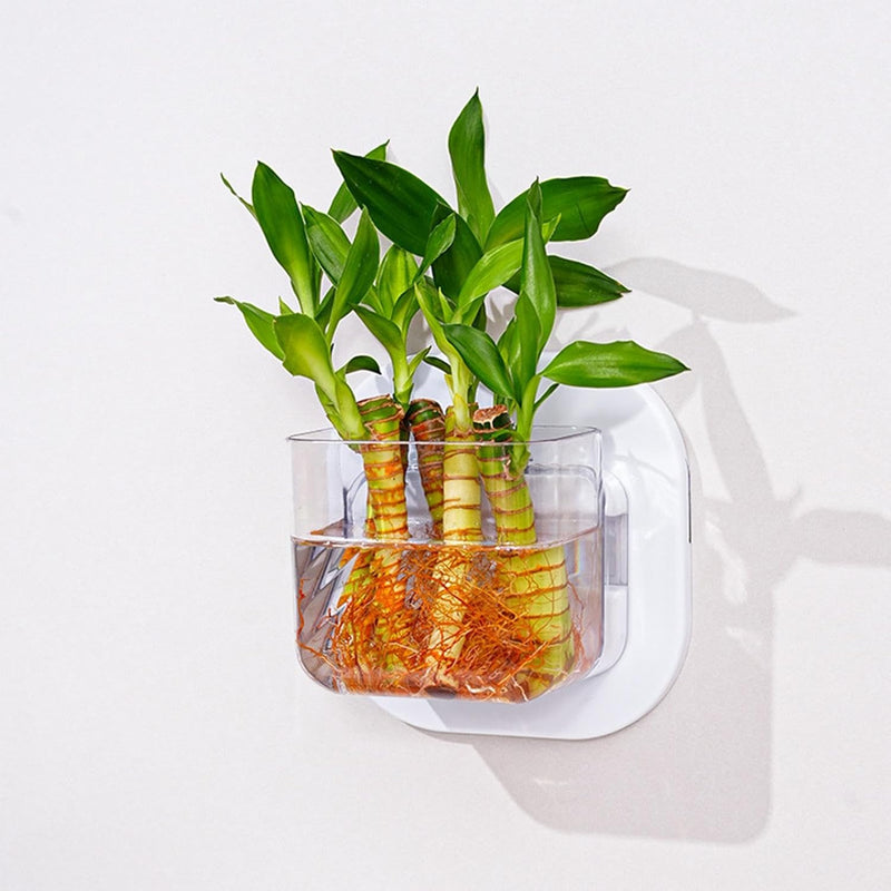 Minimal Wall Planter