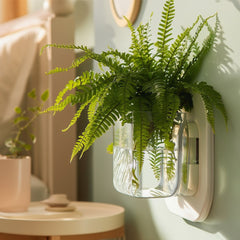 Minimal Wall Planter