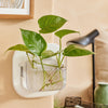 Minimal Wall Planter