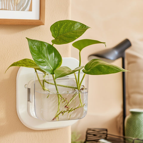 Minimal Wall Planter