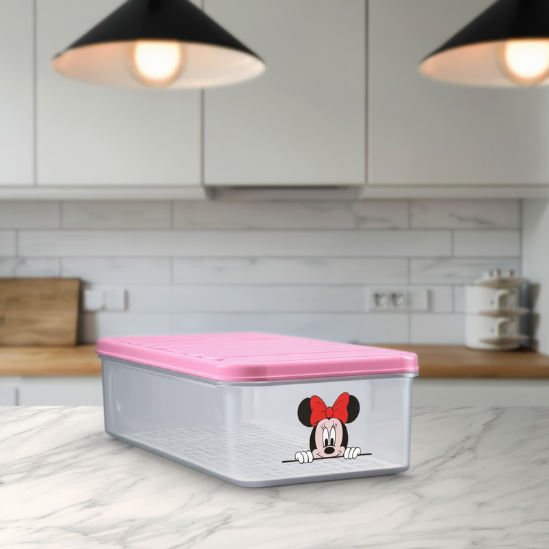 Disney Storage Box